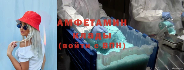 мдпв Богородицк
