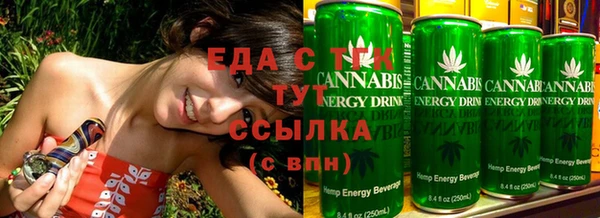 мдпв Богородицк