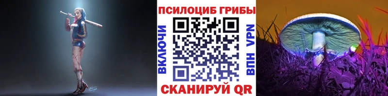 Псилоцибиновые грибы Psilocybe Билибино